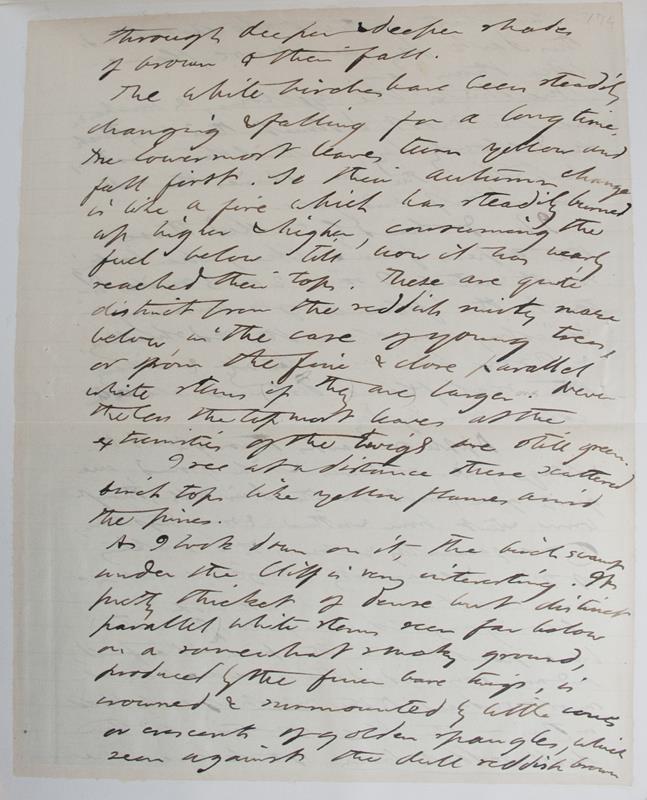 The Manuscript Edition Of The Writings Of Henry David Thoreau.