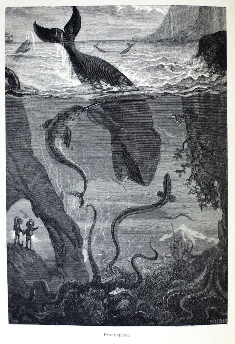 twenty thousand leagues under the sea by jules verne